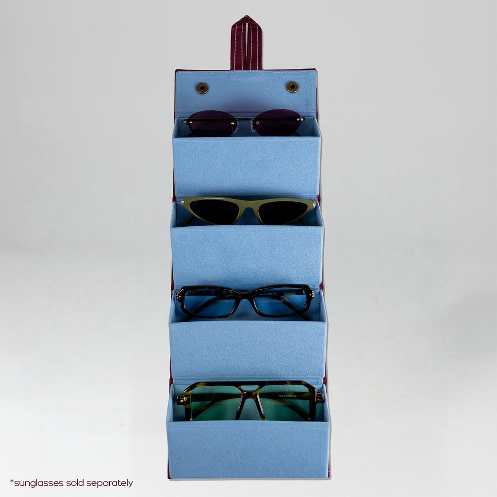the travel sunglasses organiser