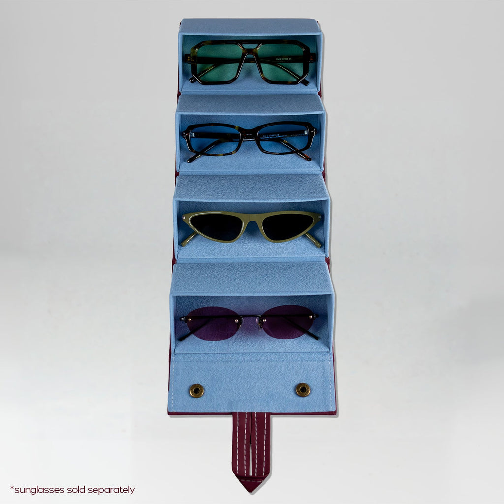 the travel sunglasses organiser